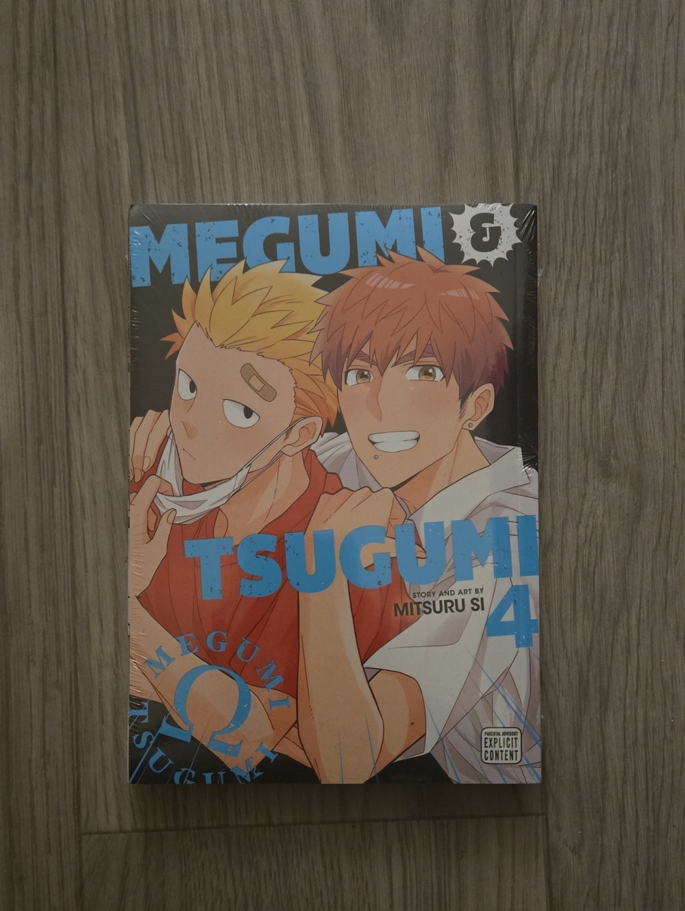 Megumi & Tsugumi Vol. 4 Manga - Blue/Orange Cover